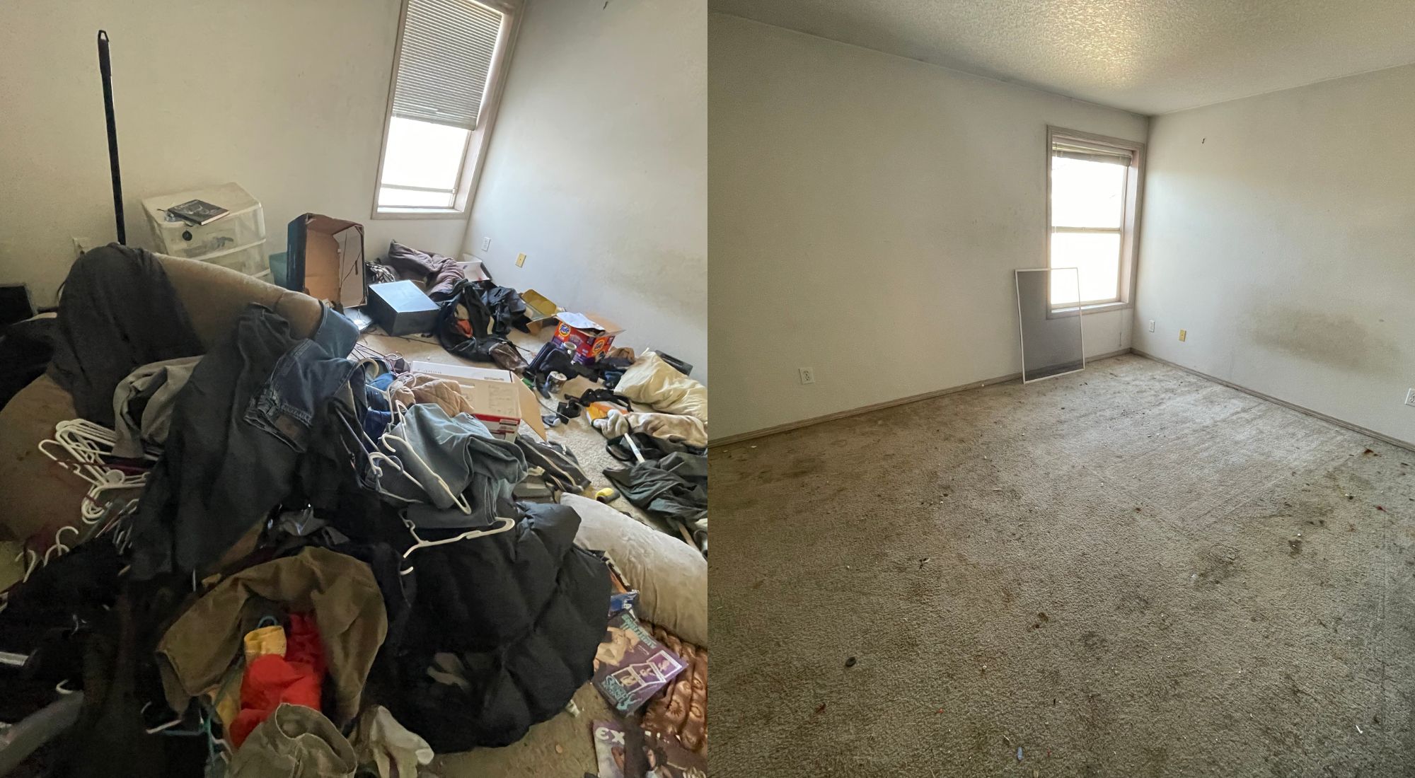 portland hoard cleanout